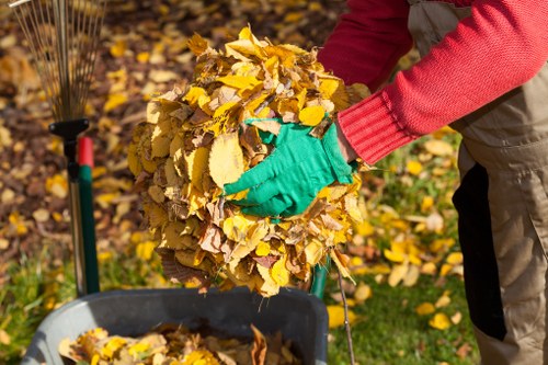 Eco-friendly disposal during house clearance
